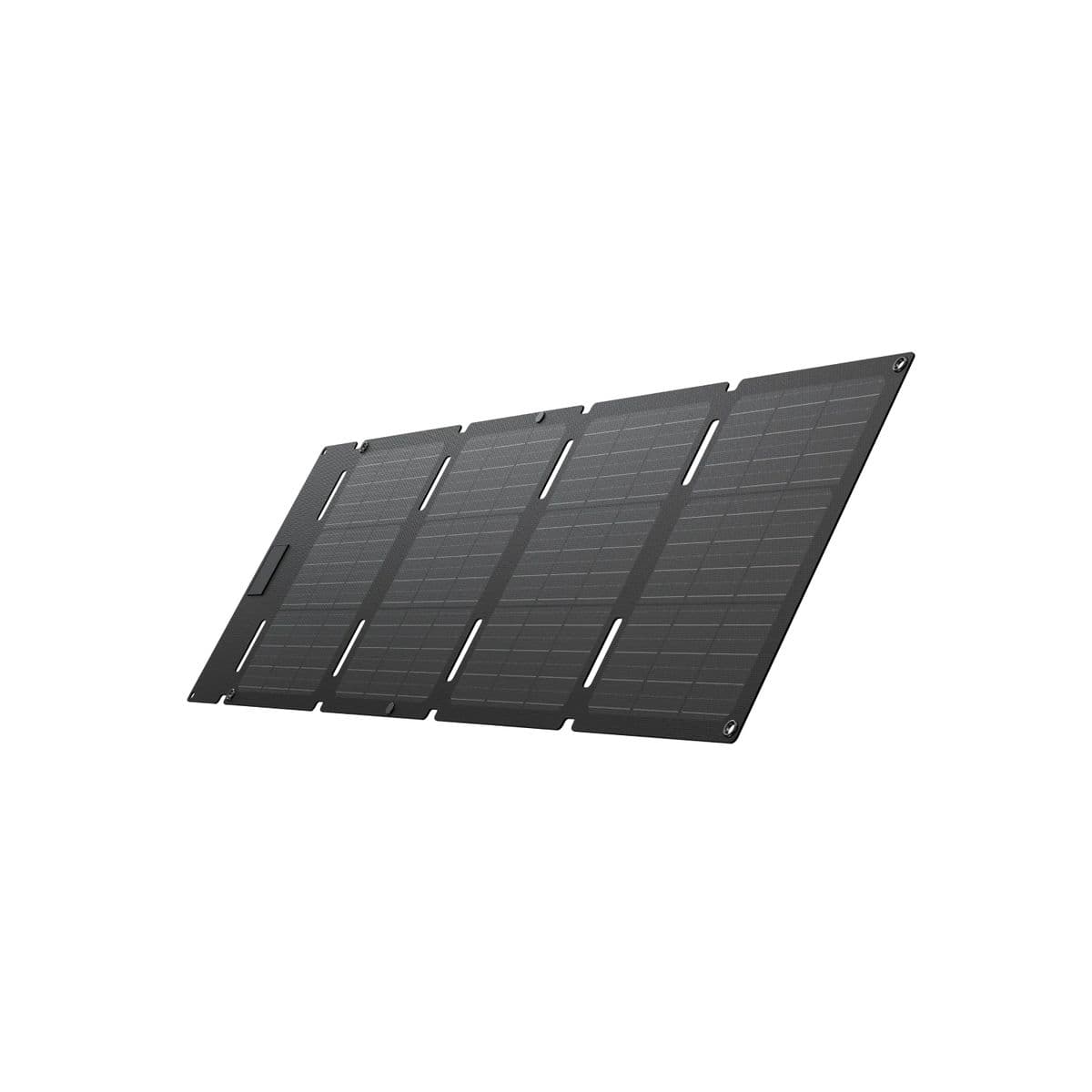 EcoFlow 45W Portable